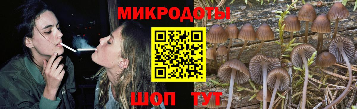 Кандалакша  Галлюциногенные грибы прущие грибы  Вход с VPN 